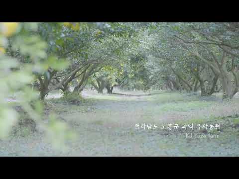 kJ, Kookje 공장 및 농장